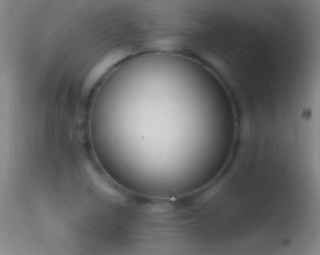 X0000114661410200910201520