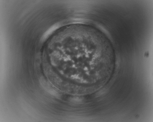 X0000114661411200910201520