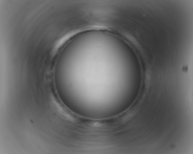 X0000114661412200910201520