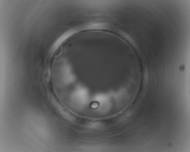 X0000114661413200910201520