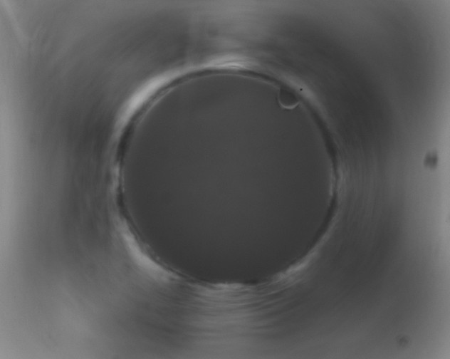 X0000114661414200910201520