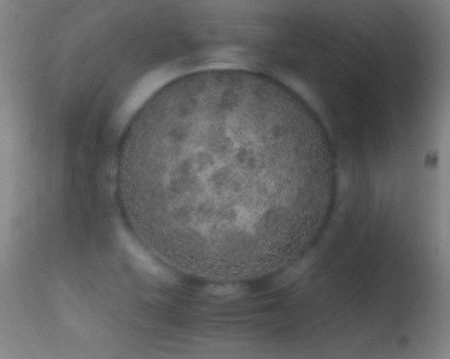 X0000114661415200910201520