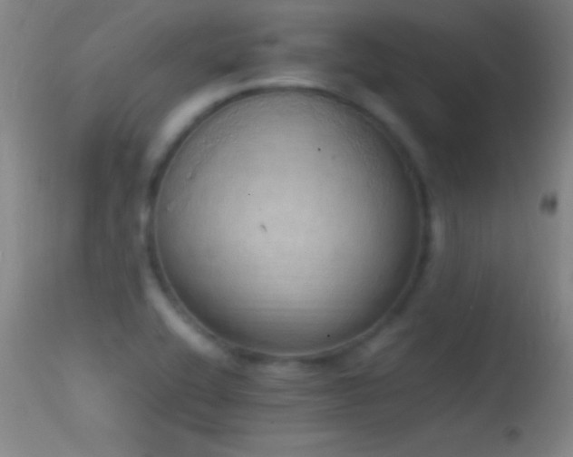 X0000114661416200910201520