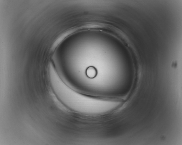 X0000114661417200910201520