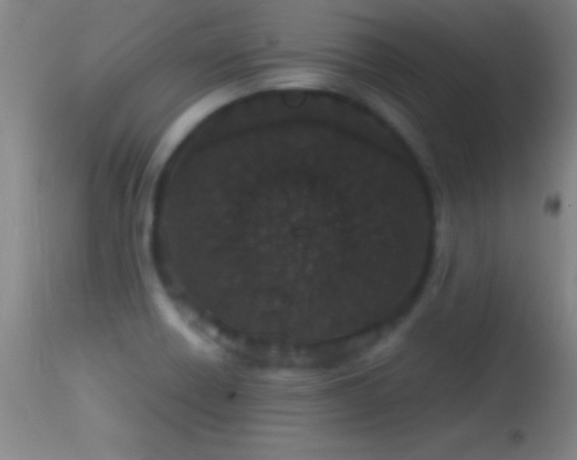 X0000114661418200910201520