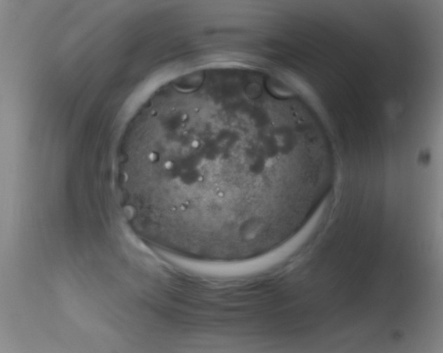 X0000114661419200910201520