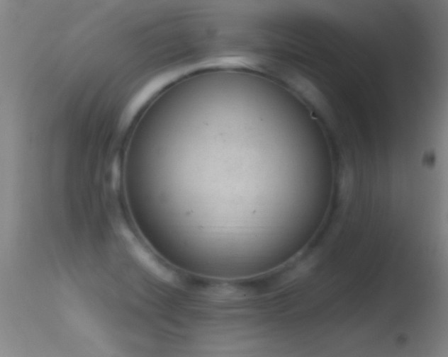 X0000114661420200910201521