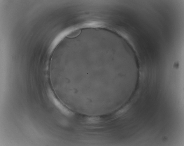 X0000114661421200910201521