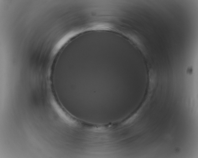 X0000114661422200910201521