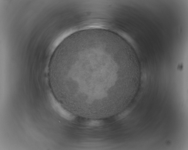 X0000114661423200910201521