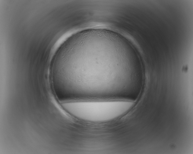 X0000114661424200910201521