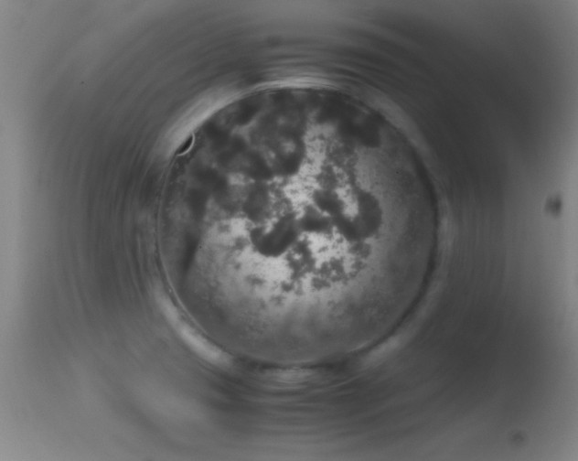 X0000114661425200910201521