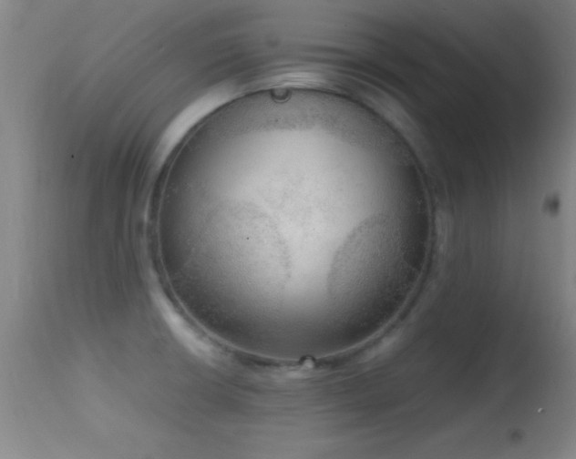 X0000114661426200910201521