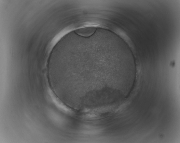 X0000114661427200910201521