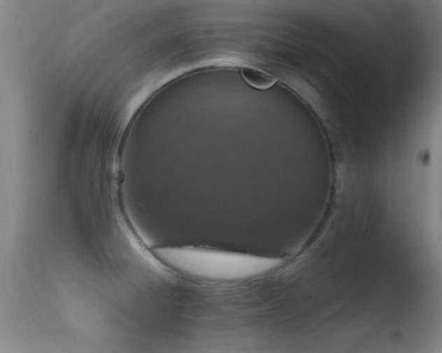 X0000114661428200910201521