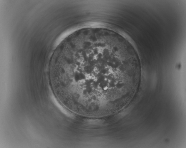 X0000114661429200910201521