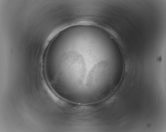 X0000114661430200910201521