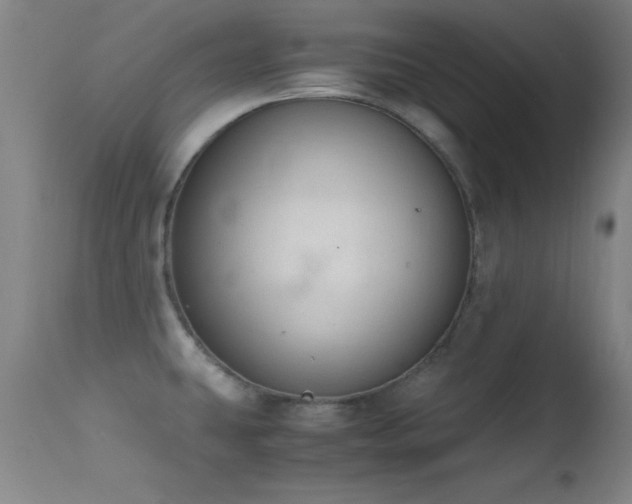 X0000114661431200910201521