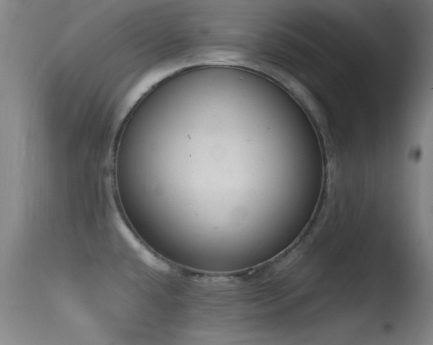 X0000114661432200910201521