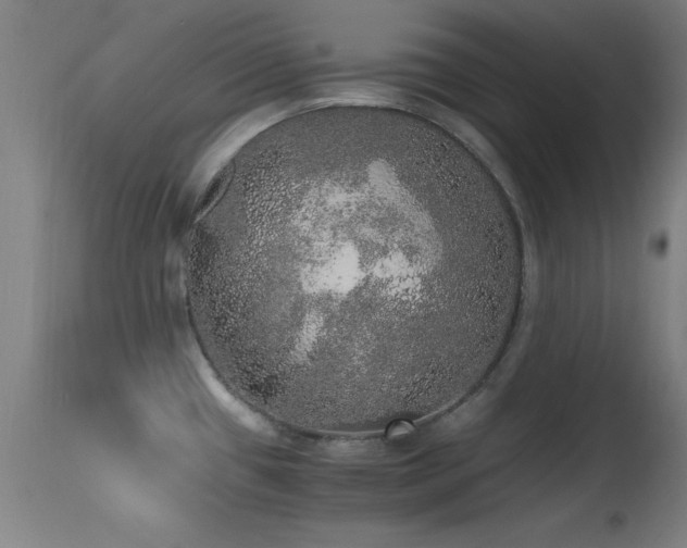 X0000114661433200910201521