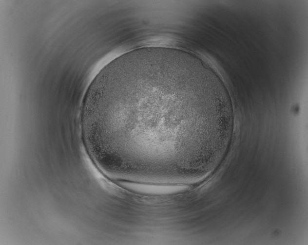 X0000114661434200910201521