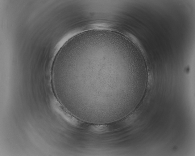 X0000114661435200910201521