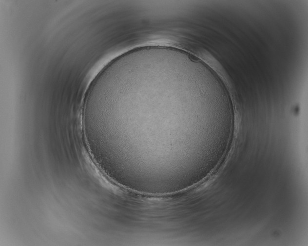 X0000114661436200910201521