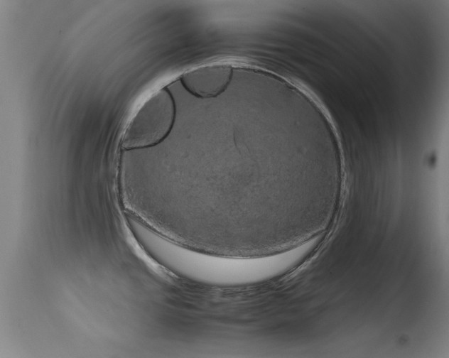 X0000114661437200910201521