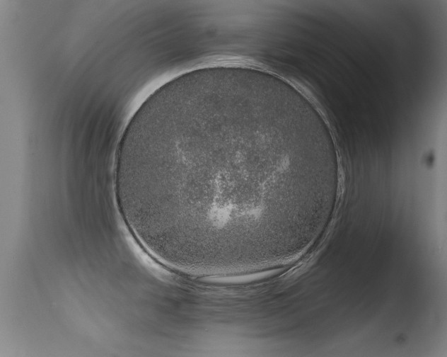 X0000114661438200910201521