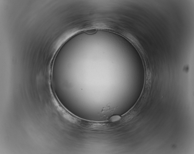 X0000114661439200910201521