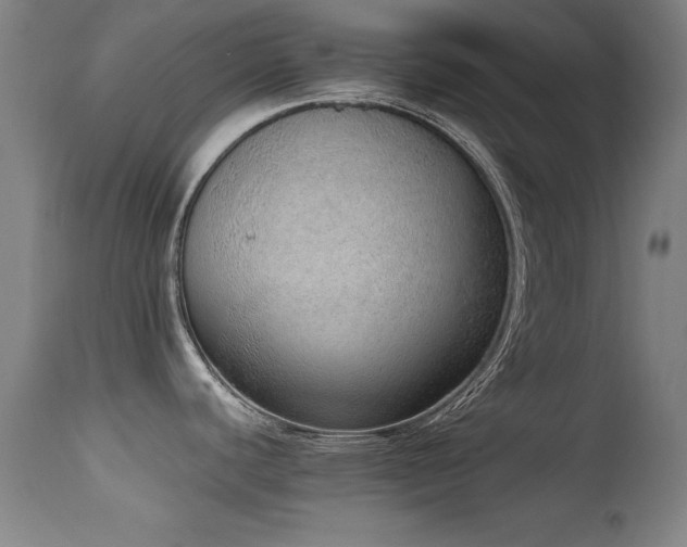 X0000114661440200910201521