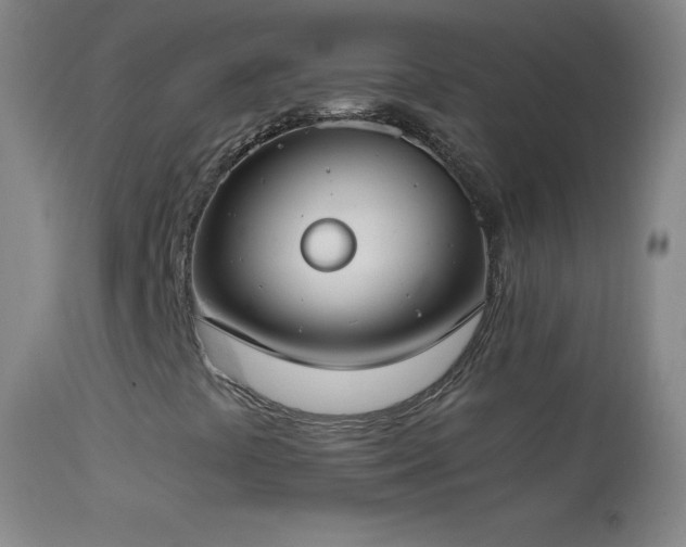 X0000114661441200910201520