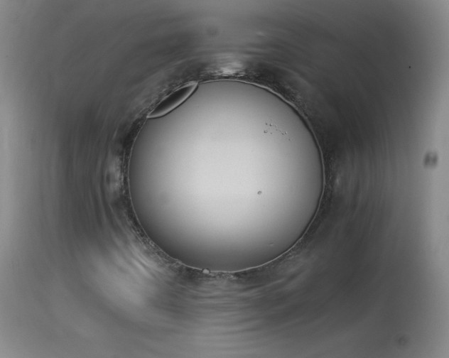 X0000114661442200910201520