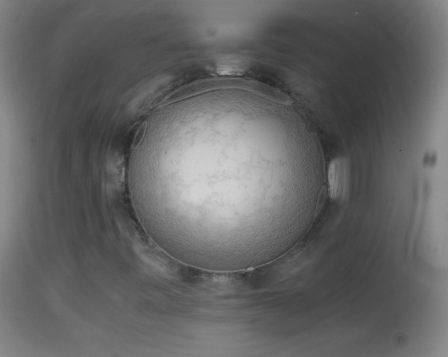 X0000114661443200910201520