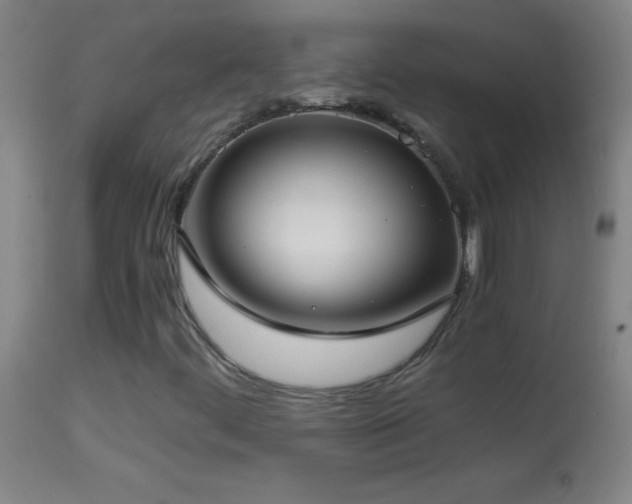 X0000114661444200910201520