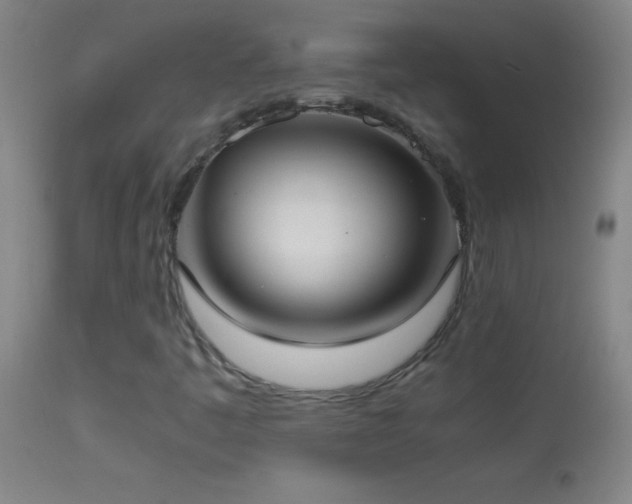 X0000114661445200910201520