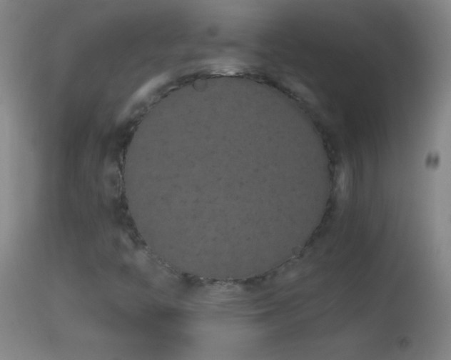 X0000114661446200910201520