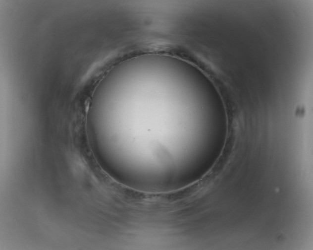 X0000114661447200910201520