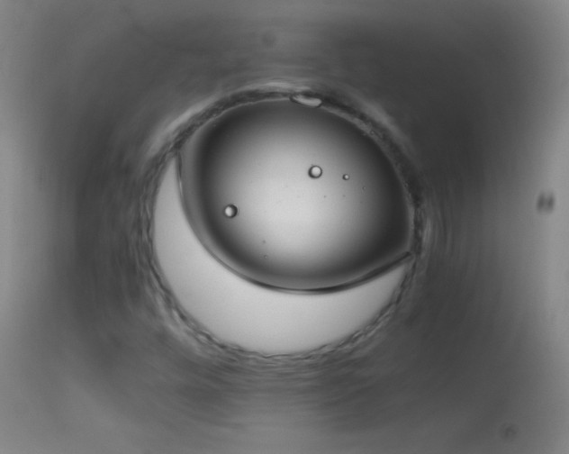 X0000114661448200910201520