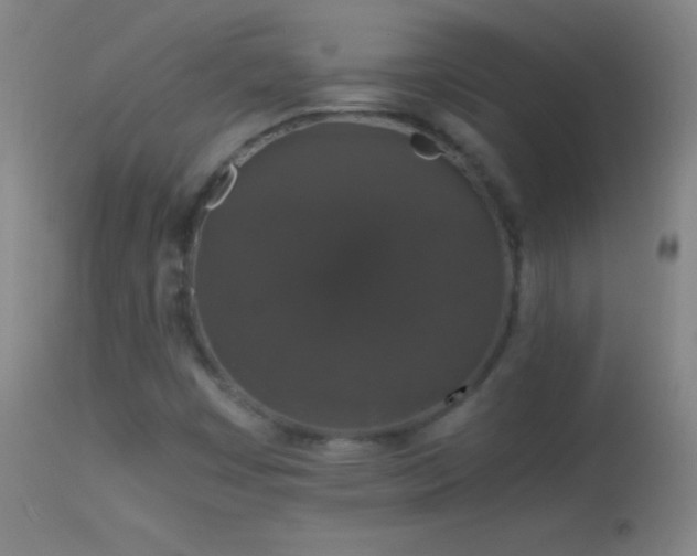 X0000114661449200910201520