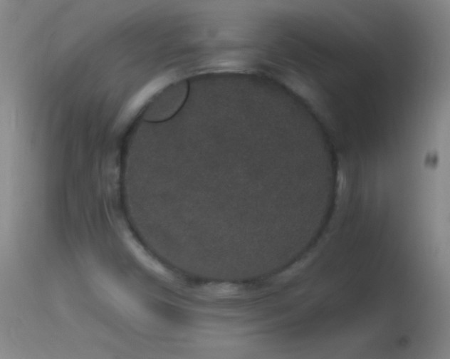 X0000114661450200910201520