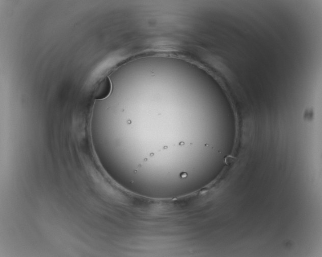 X0000114661451200910201520