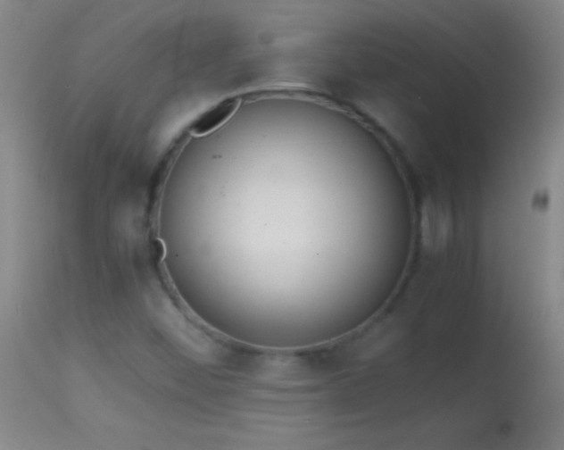 X0000114661452200910201520