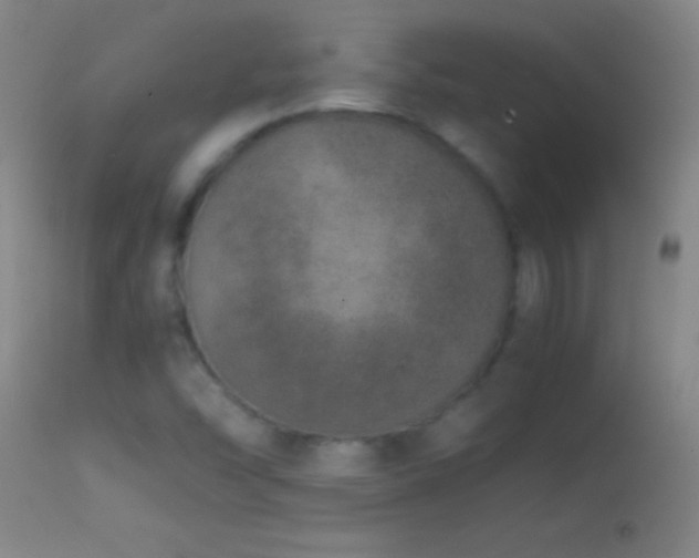 X0000114661454200910201520