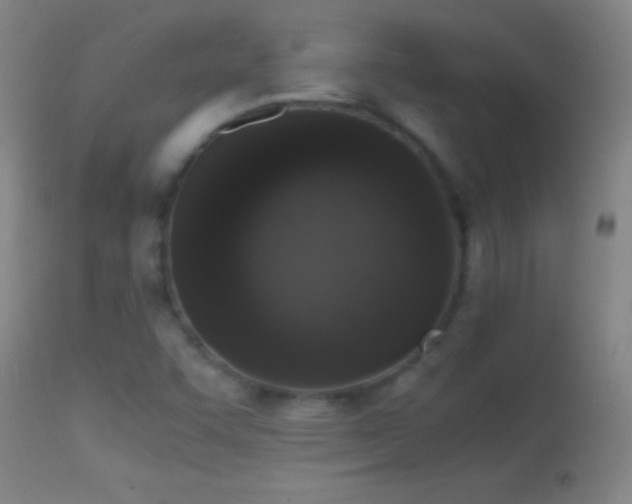 X0000114661455200910201520