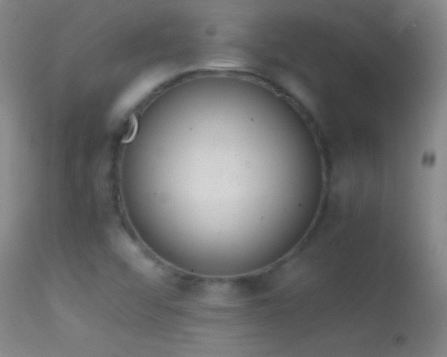 X0000114661456200910201520