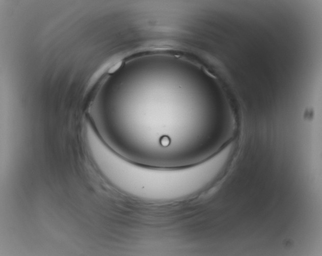 X0000114661457200910201520