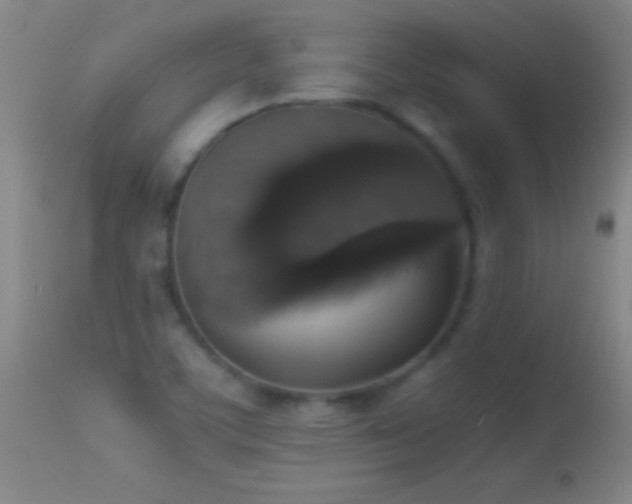 X0000114661459200910201520