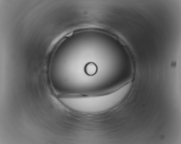 X0000114661460200910201520