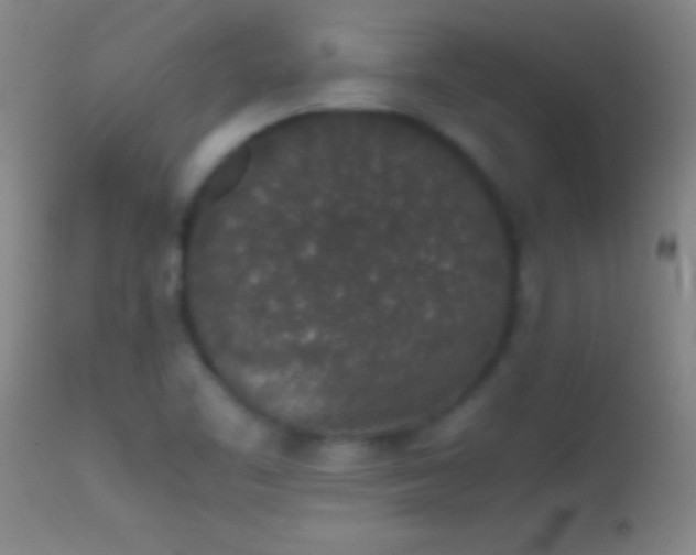 X0000114661461200910201520